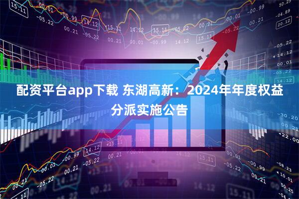 配资平台app下载 东湖高新：2024年年度权益分派实施公告